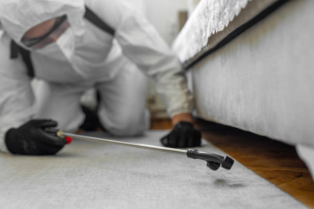 Professional Bed Bug Control technician working in Crockett County County, TN